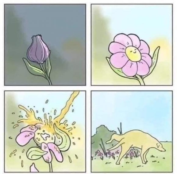 Hétköznapi csalódások