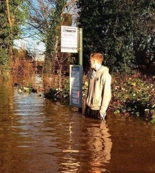 Hősünk még reménykedik, hogy ma is jön a busz