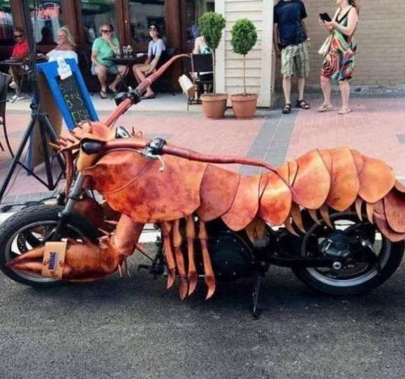 Szereti, ha megbámulják