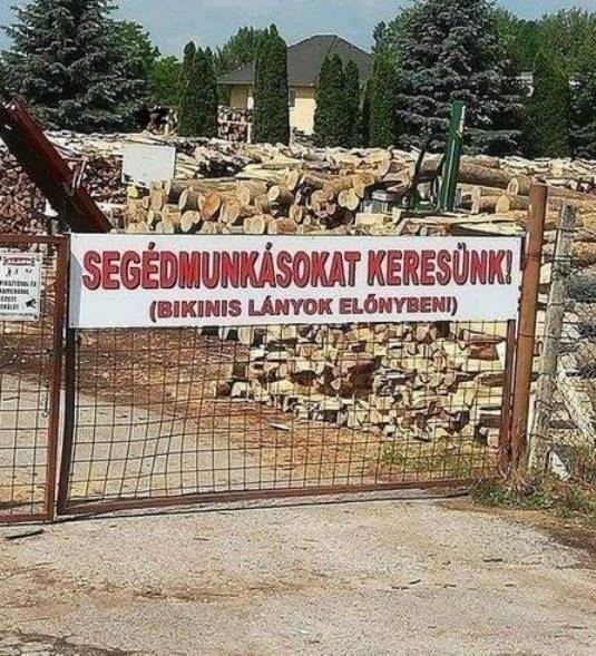 Állásajánlat