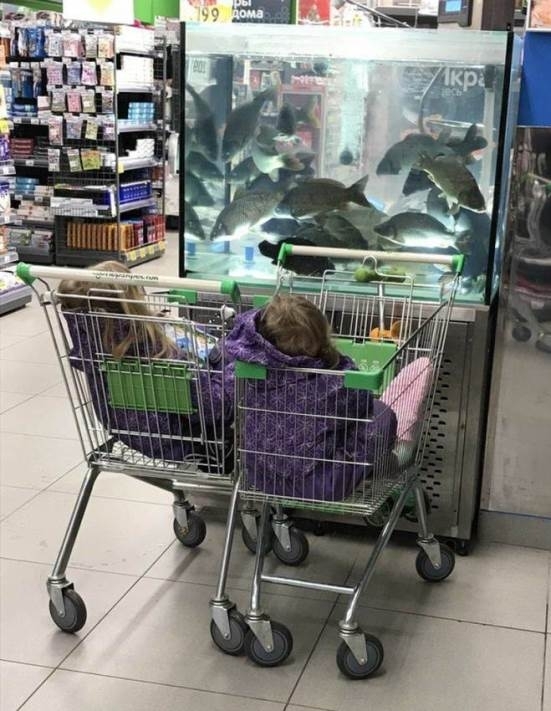 Itt ellesznek egy darabig