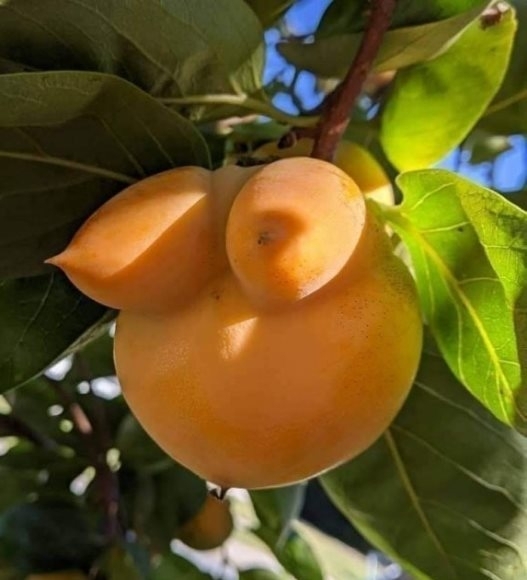 Amikor vicces kedvében van a természet