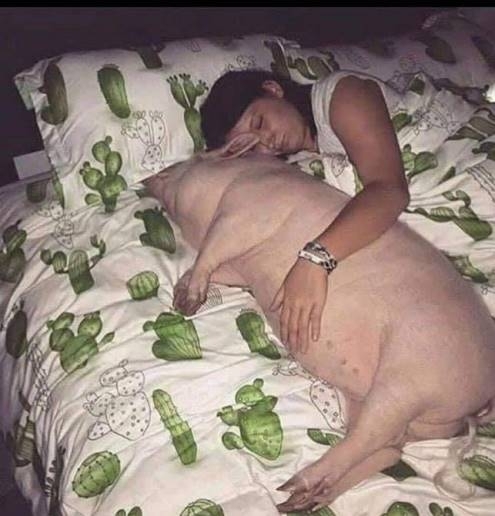 Nem jutott neki traktoros a TSZ bálban