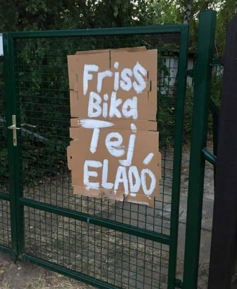 Egyértelműen a nap ajánlata