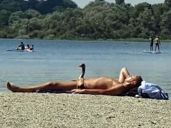 Vajon miről álmodik éppen?