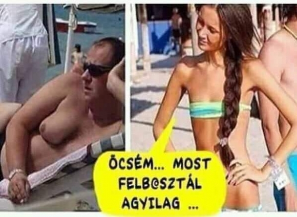 Amikor nem oda születnek a cicik, ahová valók