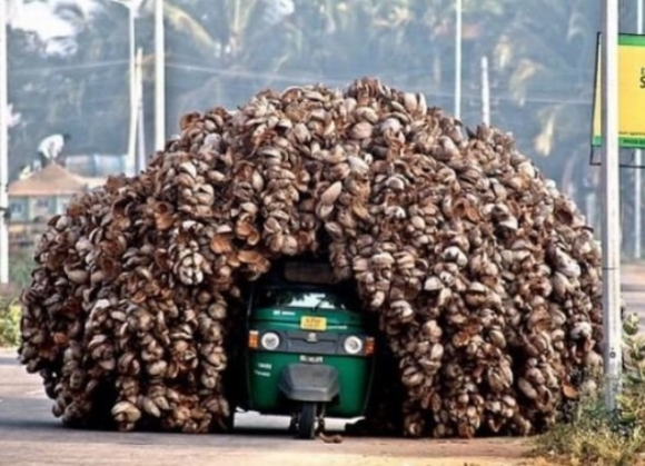 Tisztességesen meg lett pakolva 😮