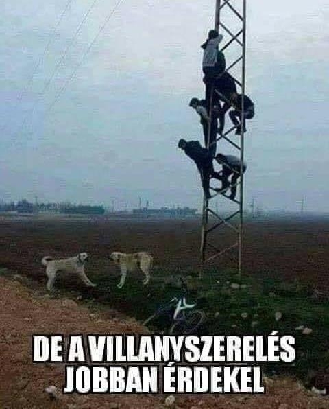 Amikor mennél a tezsvérekkel a téli tüzelőért