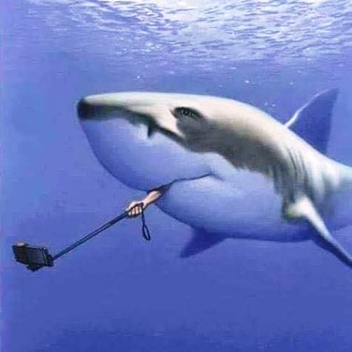 A legvagányabb szelfiző díj nyertese