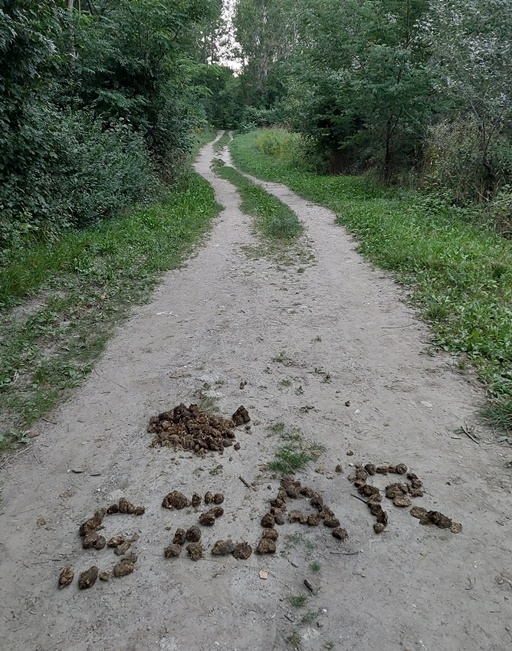 Zöld erdőben jártam