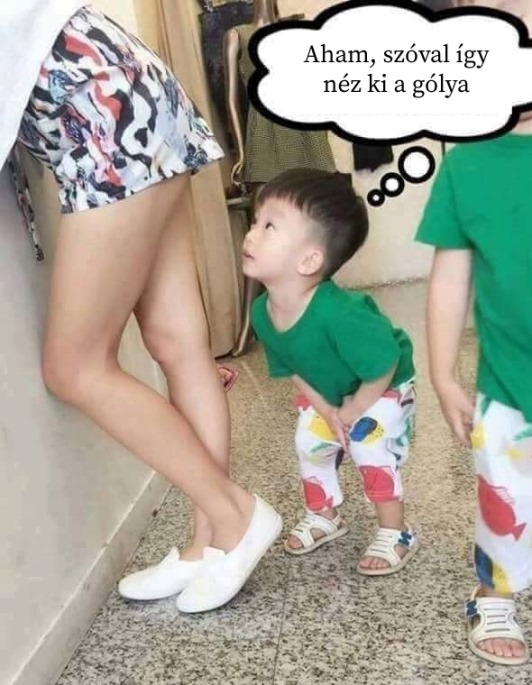 A gólyabácsi is kell hozzá