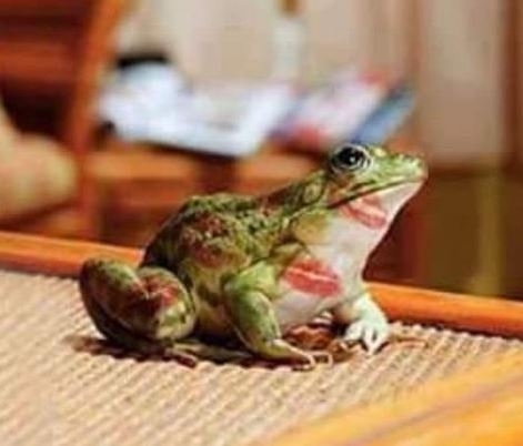 Valaki nagyon próbálkozott 🙂