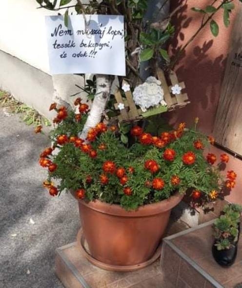 Kisvárda, Szabolcs-Szatmár-Bereg megye