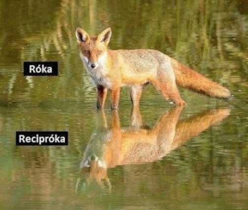 Megkezdődött egy újabb fárasztó hét