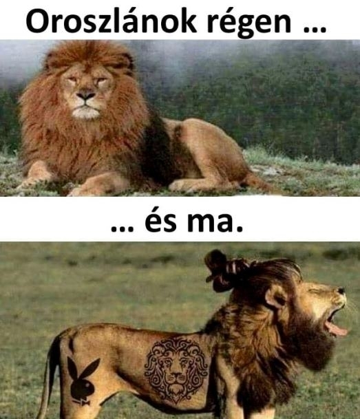 A világ folyamatosan változik