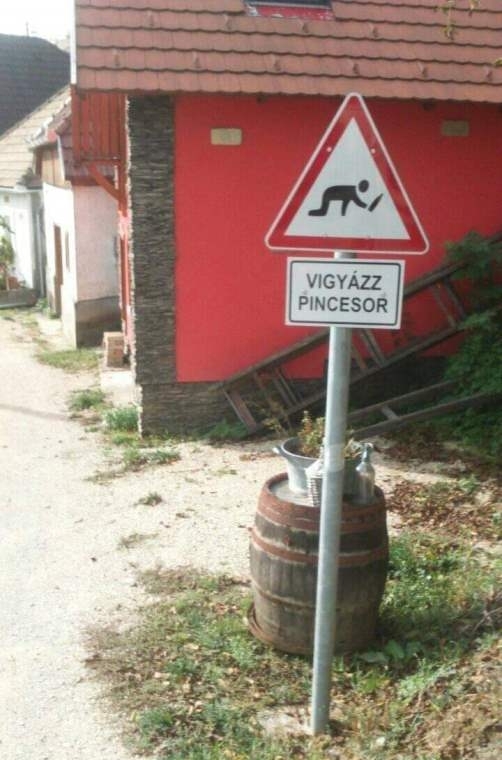 Szezonja következik, már forr a bor a hordokban