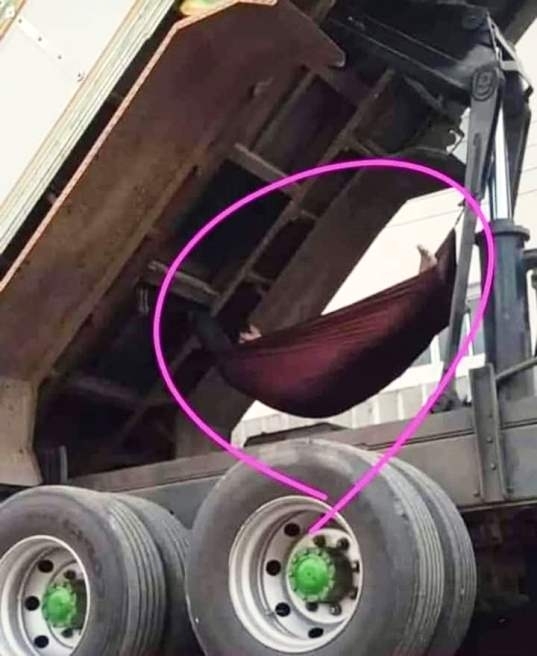 Szeret veszélyesen élni