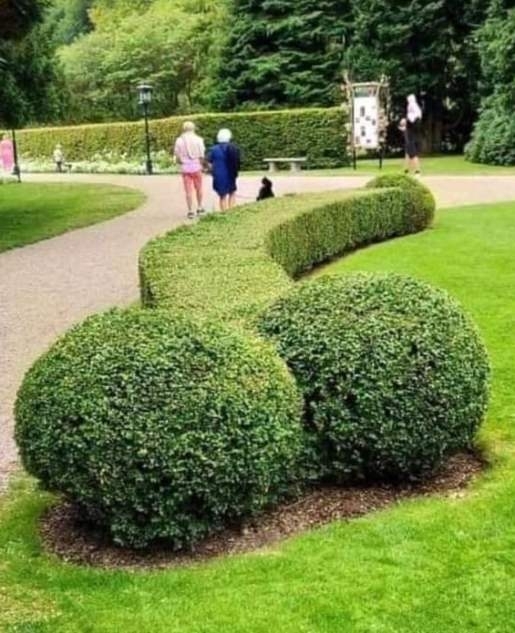 Vicces kedvében volt a kertész