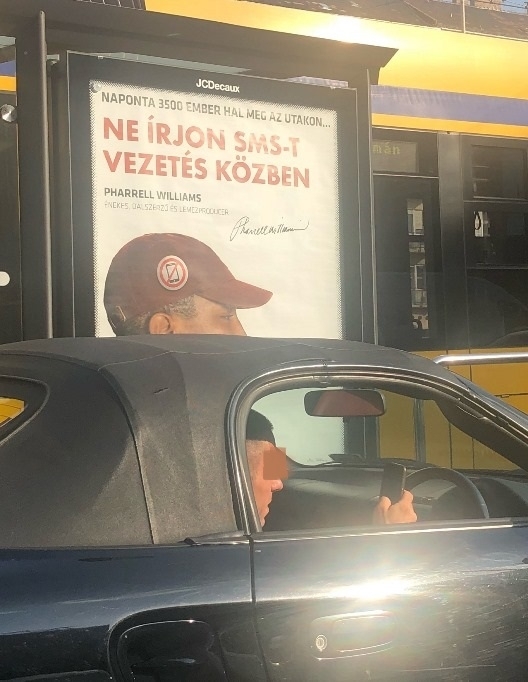 Egy jó pillanatban elkészített fotó