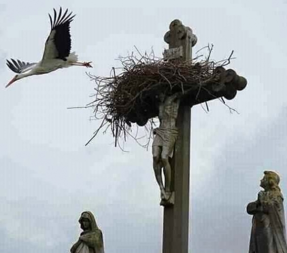 Miután kimentél a divatból