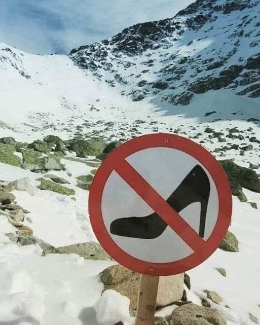 Sohasem gondoltam volna