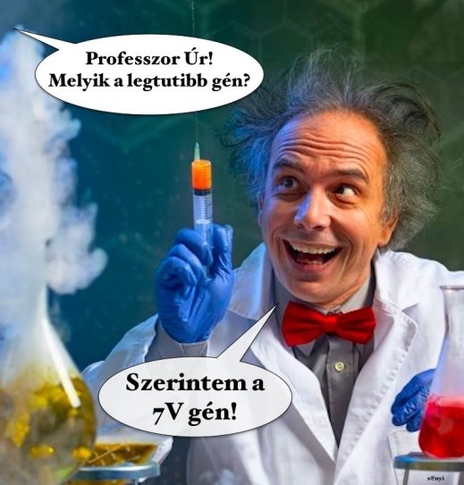 Szombati génterápia