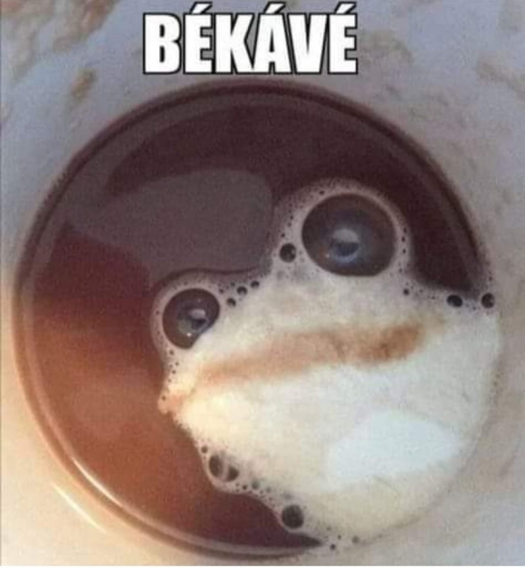 Jó reggelt