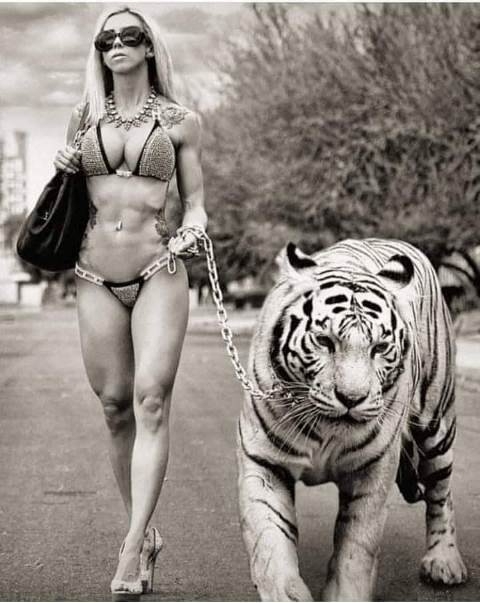 A képen világ egyik legveszélyesebb ragadozója