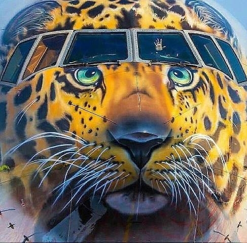 Vagány repülőgép fényezés