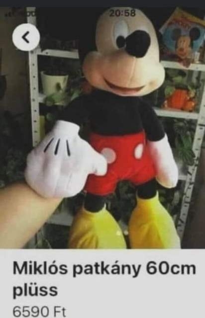 Miklóspatkány eladó