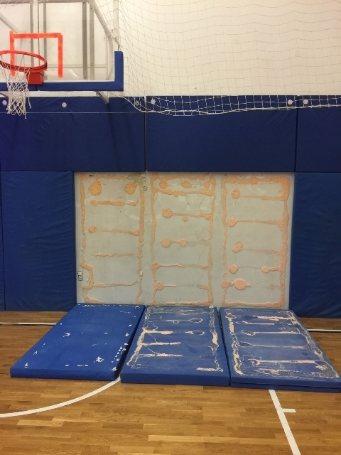 A TAO-nak hála megújult a tornatermünk