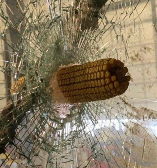 Üzenet érkezett falun