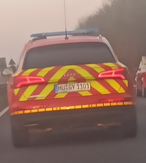 Egy újabb gyöngyszem