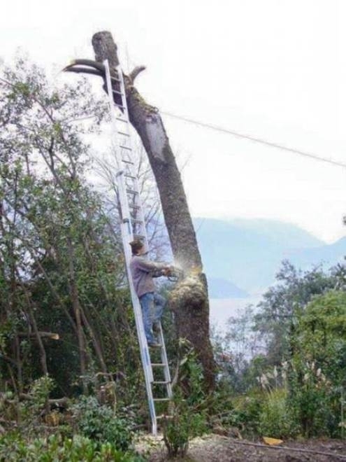 Haver! Biztos, hogy jól átgondoltad ezt?