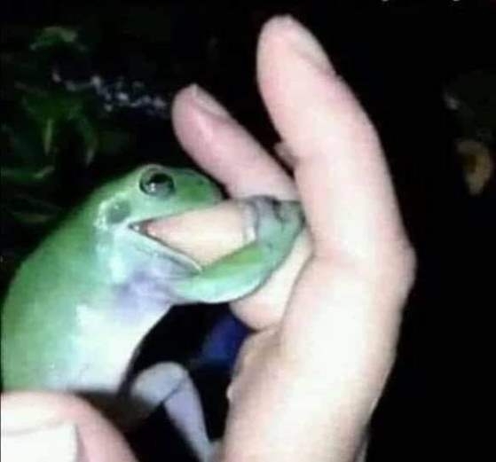 Íme az elvarázsolt királylány 