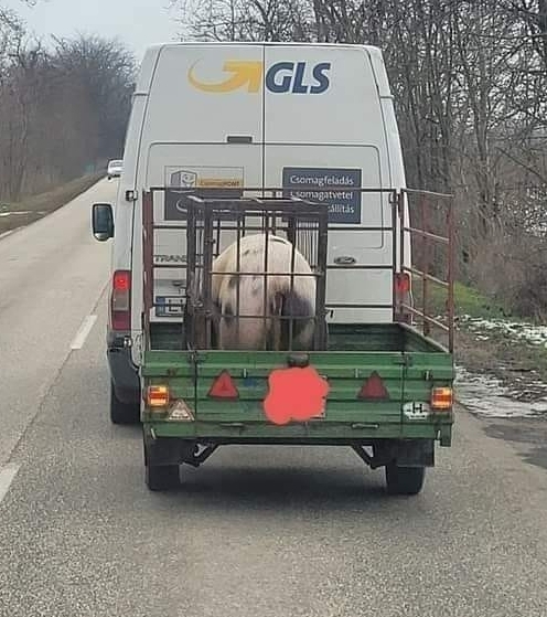 Önnek egy új üzenete érkezett