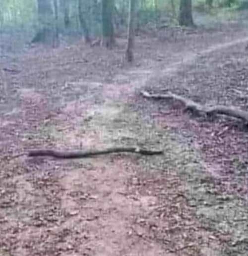 Ma reggel el akartam menni futni, de le volt zárva az út 🙂