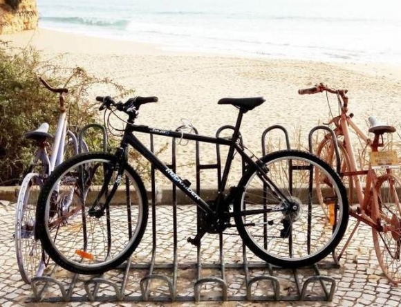 Egy igazi zseni lehet a tulajdonos