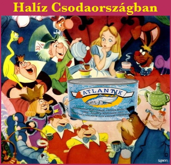 Napi szóvicc - Üt és fáj