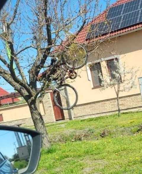 Az vajon, hogy került oda?