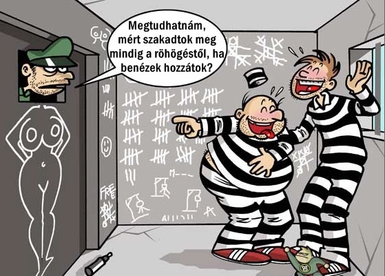 Apró örömök a sitten