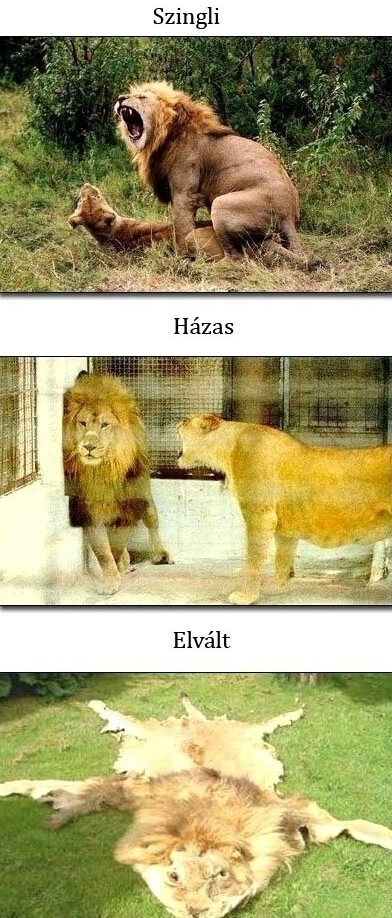 Egy átlag férfi életének 3 állomása