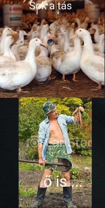 Hét eleji agyzsibbasztó