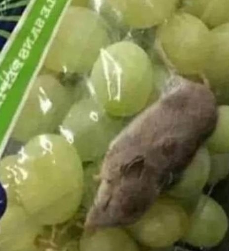 Szerencsés nap ez a mai