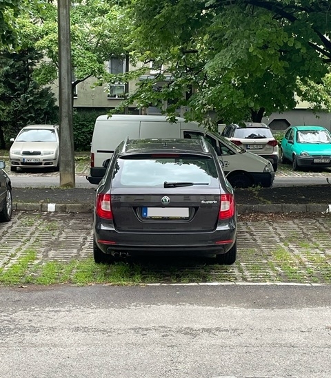 Parasztparkoló!
