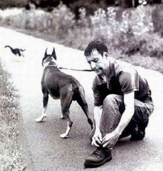 Fogak elvesztése indul