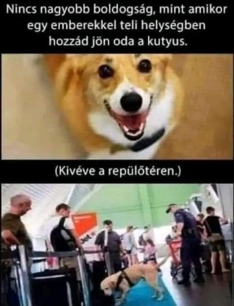 Mondj nemet a drogokra