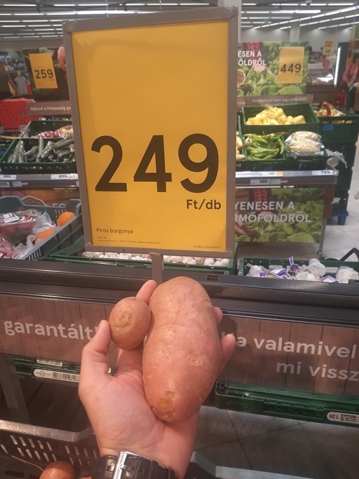 A mohácsi Tacskóban már darabja adják a krumplit