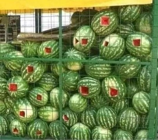 Este megkívántam egy kis dinnyét, de zárva volt a zöldséges 🙂