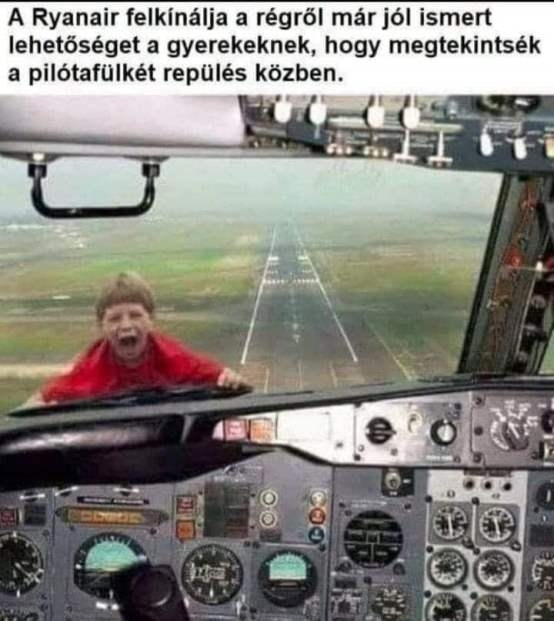 Egy kissé bizarr ajánlat